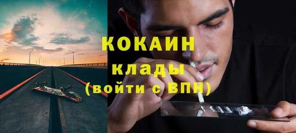 спайс Богданович