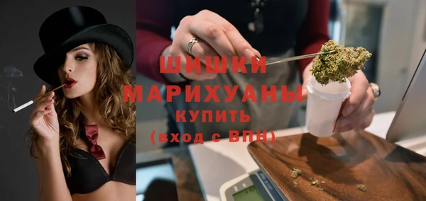 хмурый Богородицк
