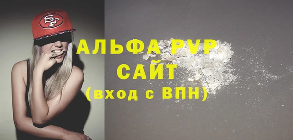 спайс Богданович