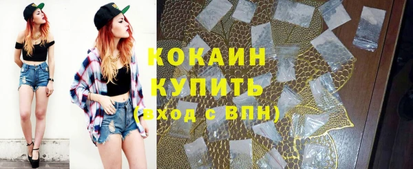 хмурый Богородицк