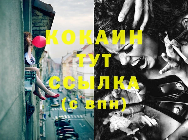 спайс Богданович