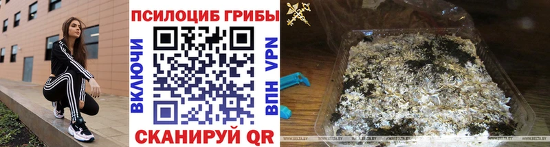 гидра как зайти  Венёв  Псилоцибиновые грибы Magic Shrooms 